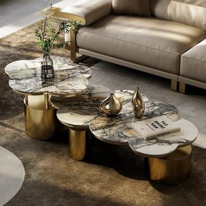 big large coffee table India living room huge