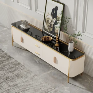 TV entertainment Unit