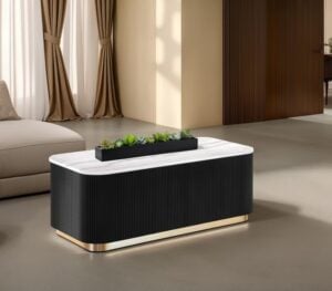 Contemporary Cocktail Table